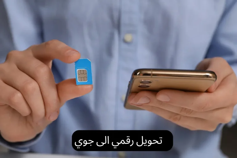 تحويل رقمي الى جوي